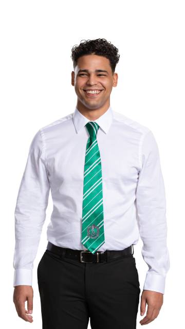 Slytherin Necktie