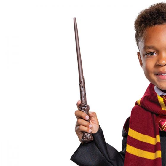 Harry Potter Dress-Up Kit