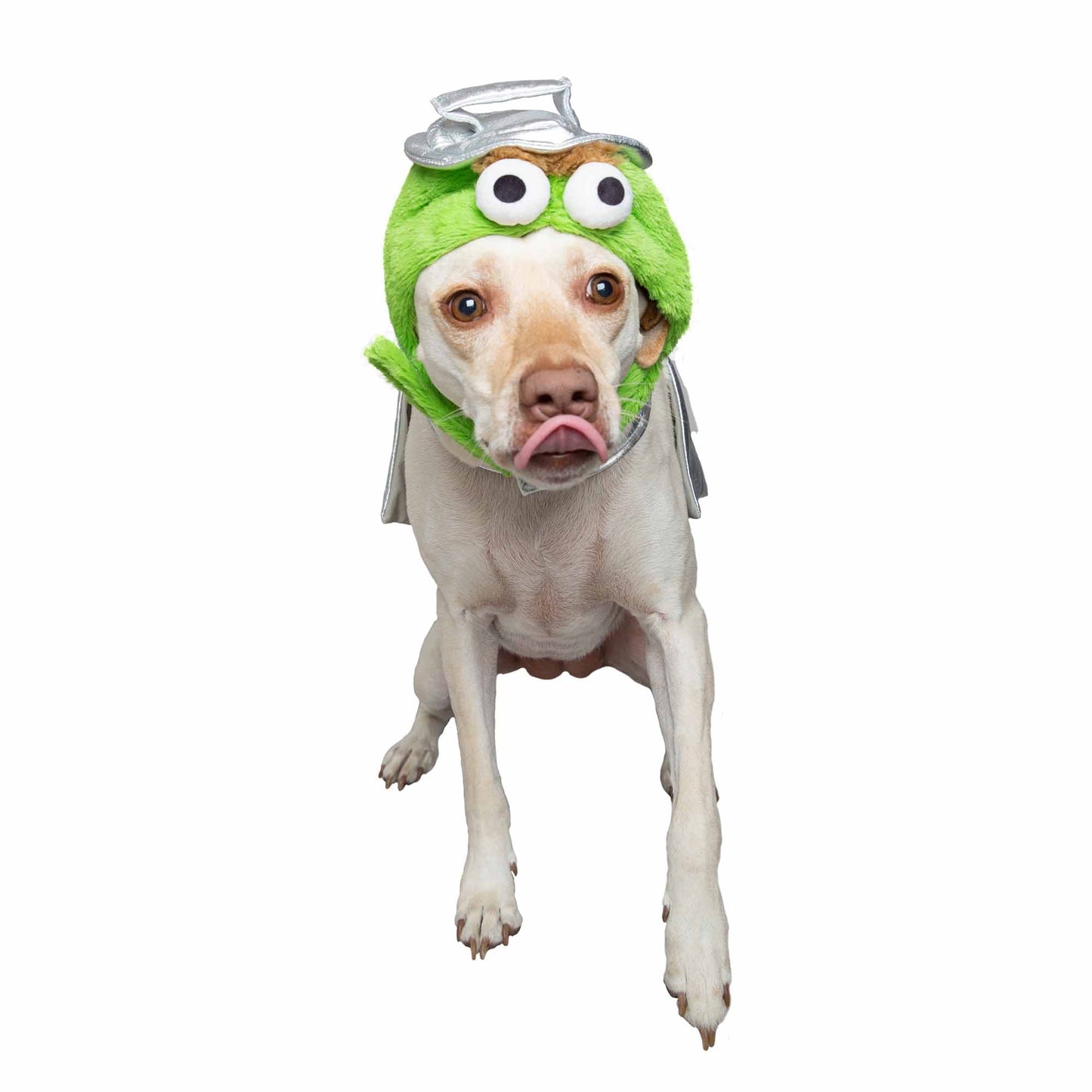 SESAME STREET OSCAR THE GROUCH DOG COSTUME