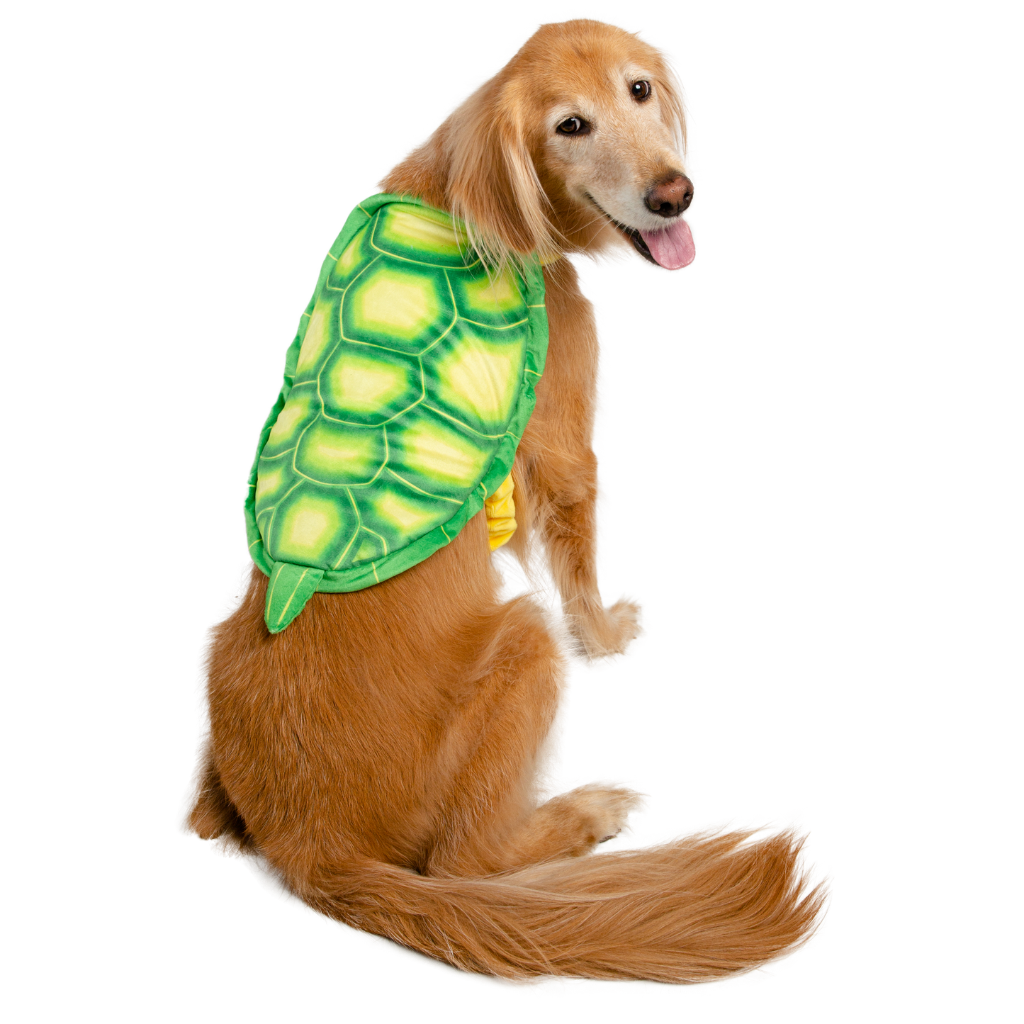 TURTLE DOG COSTUME