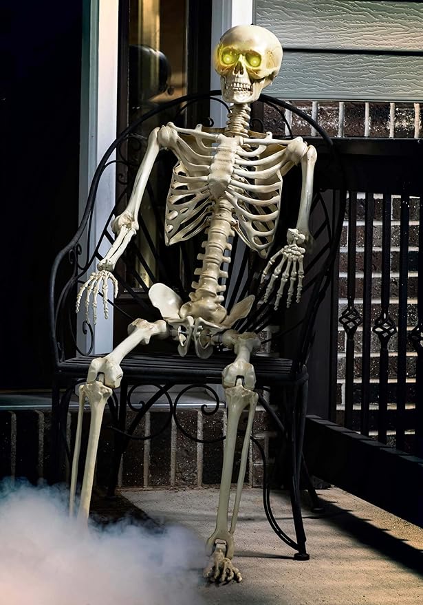 Poseable Skeleton Decoration
