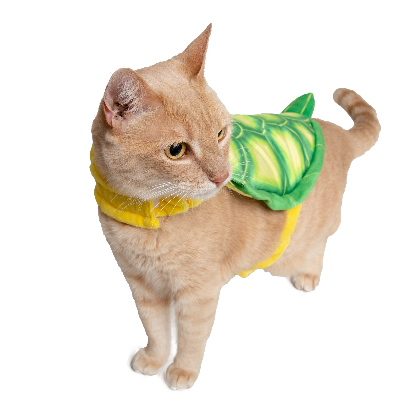 TURTLE DOG COSTUME