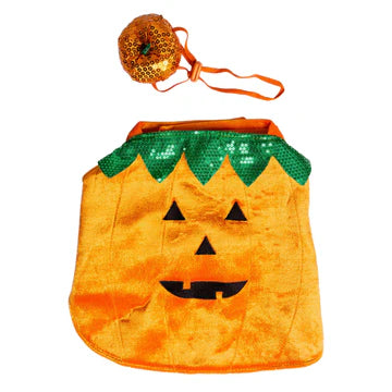Pumpkin pet costume