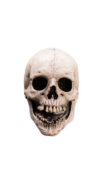 FEAR STREET SKULL MASK 1994