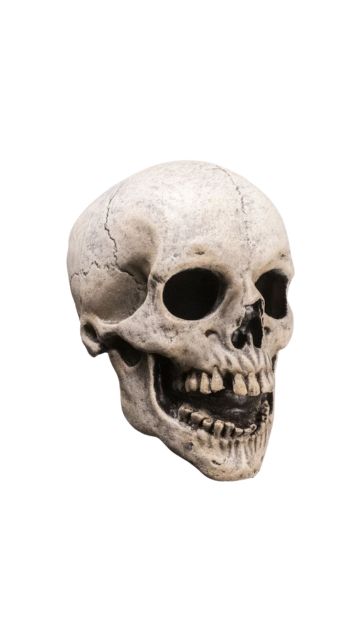FEAR STREET SKULL MASK 1994