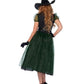 Darling Spellcaster Witch Costume