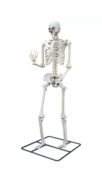 10' STANDING TITAL SKELETON W/WT LED