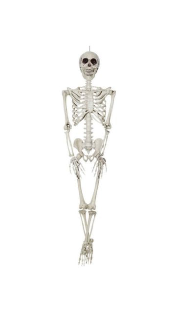 36-Inch Skeleton Decoration