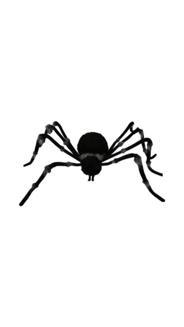 Grey Trim Spider Decoration