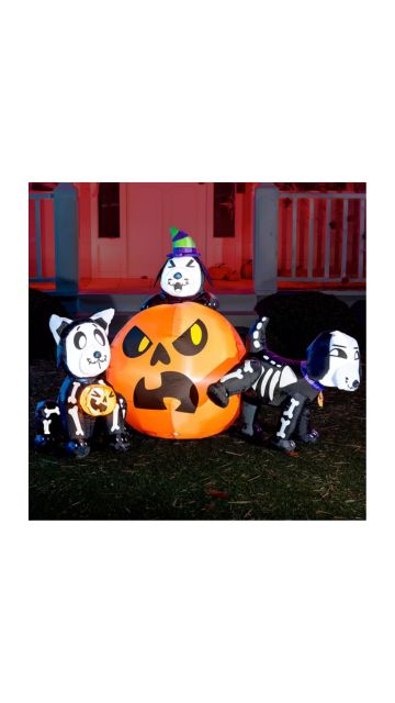 Skeleton Dogs and Pumpkin