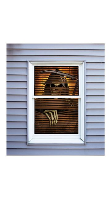 36" Window Creeper Assortment
