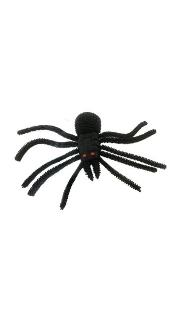 10"Spider (30/DISPLAY)