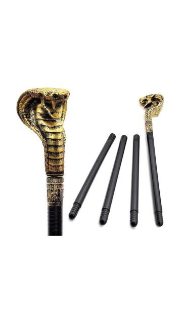 Egyptian Cane