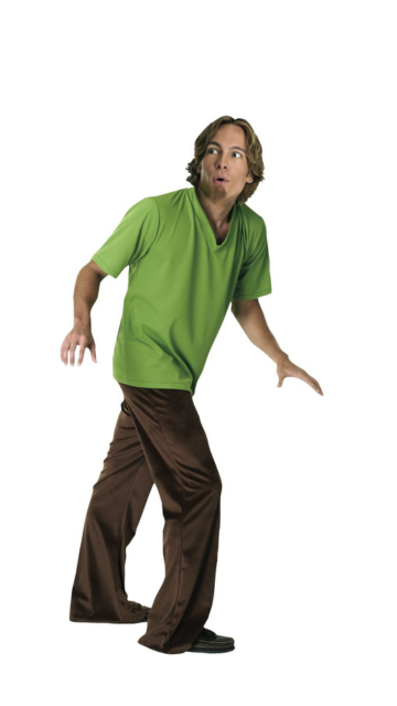 Shaggy Costume