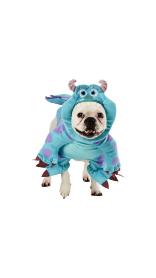 Sulley Pet Costume