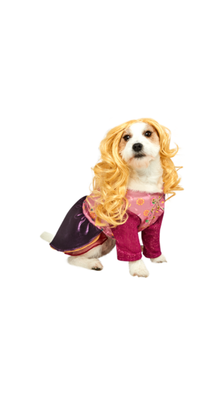 Hocus Pocus Sarah Sanderson Pet Costume