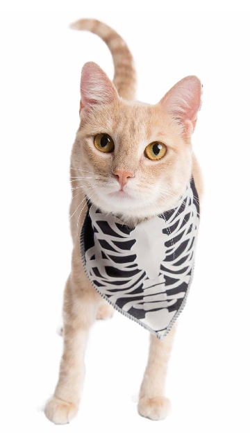 Glow-In-The-Dark Skeleton Cat Or Dog Bandana - SoulofHalloween