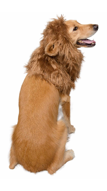 Lion Mane Dog Costume - SoulofHalloween