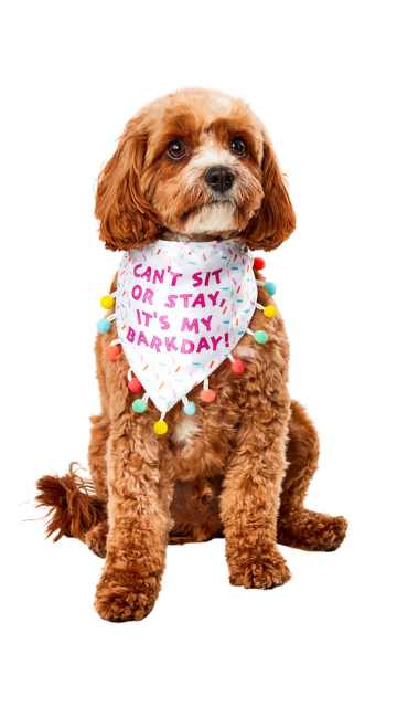 Sprinkled Birthday Bandana Pet Costume - SoulofHalloween