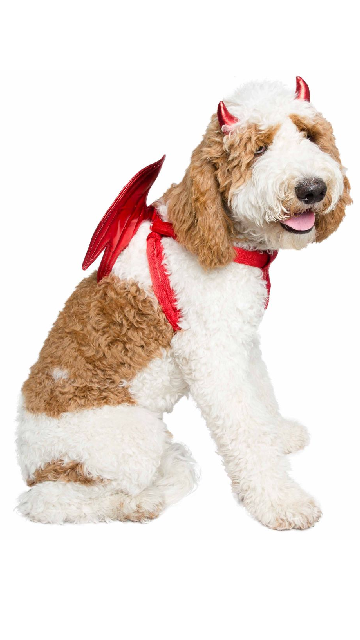 Devil Dog Costume Set - SoulofHalloween