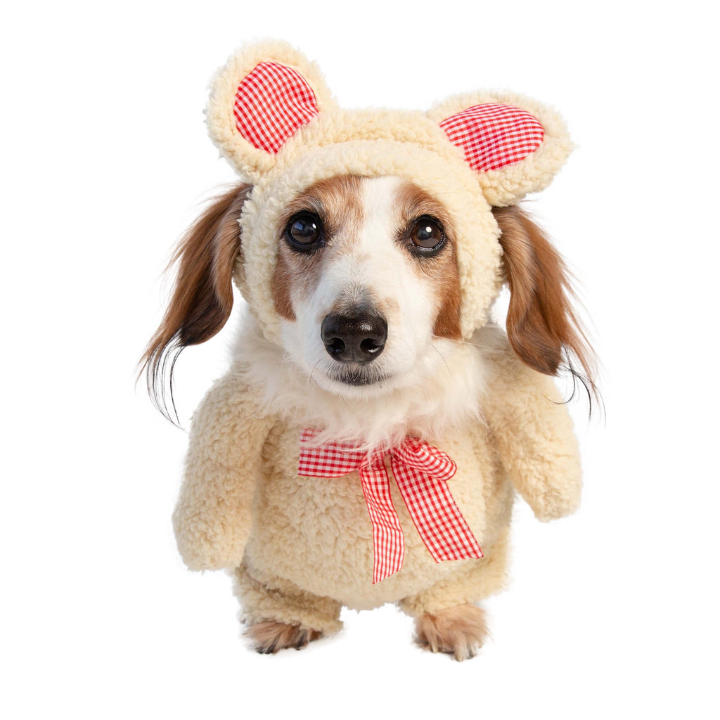 Walking Teddy Bear Dog Outfit