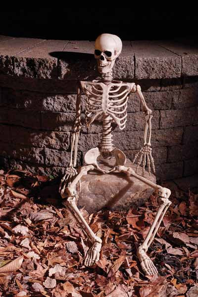 Articulated Skeleton Decoration