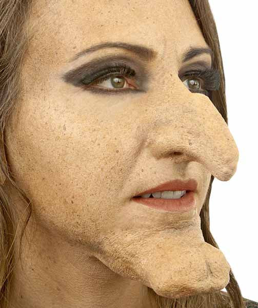 Witch Nose and Chin Kit