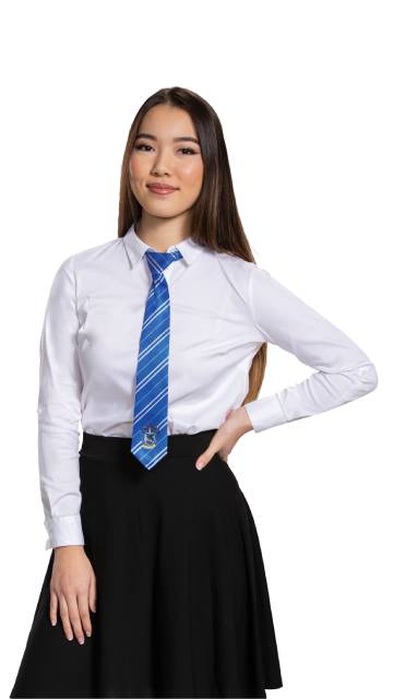 Ravenclaw Tie