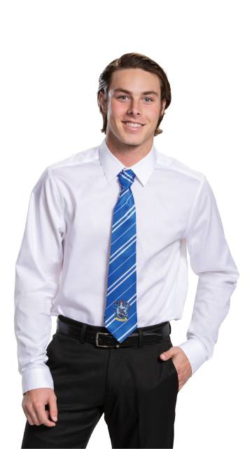 Ravenclaw Tie