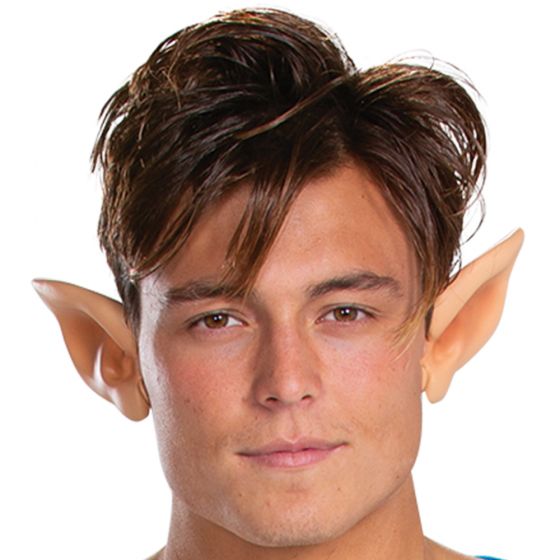 Link Breath of the Wild Costume