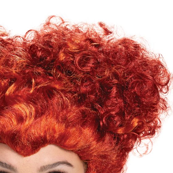 Wini Deluxe Wig - Hocus Pocus