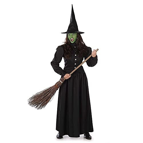 Wicked Witch Women's Costume