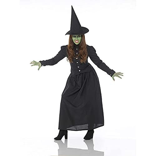 Wicked Witch Women's Costume