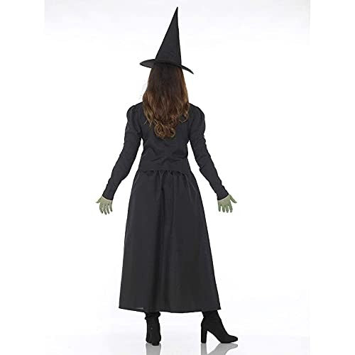 Wicked Witch Women's Costume