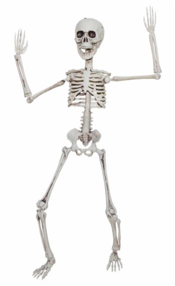 Poseable Skeleton Decoration