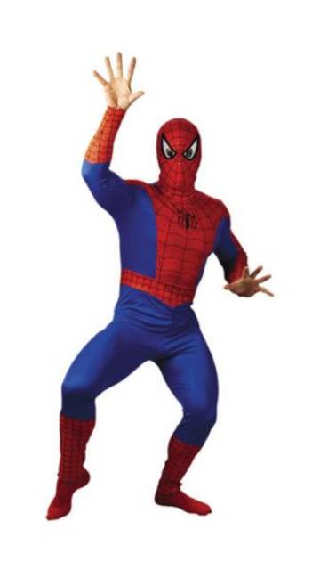 Spiderman Men's Costume