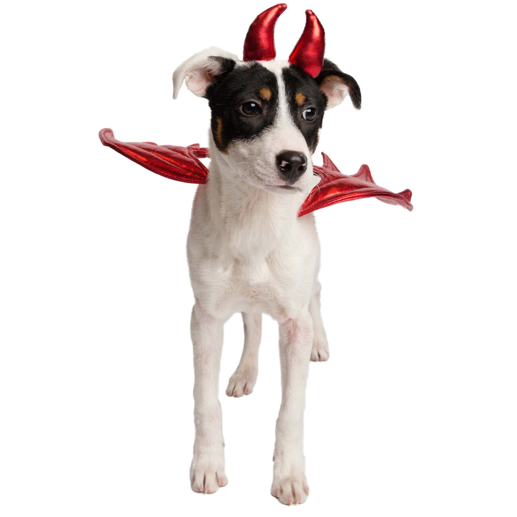Devil Dog Costume Set