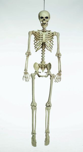 Articulated Skeleton Decoration