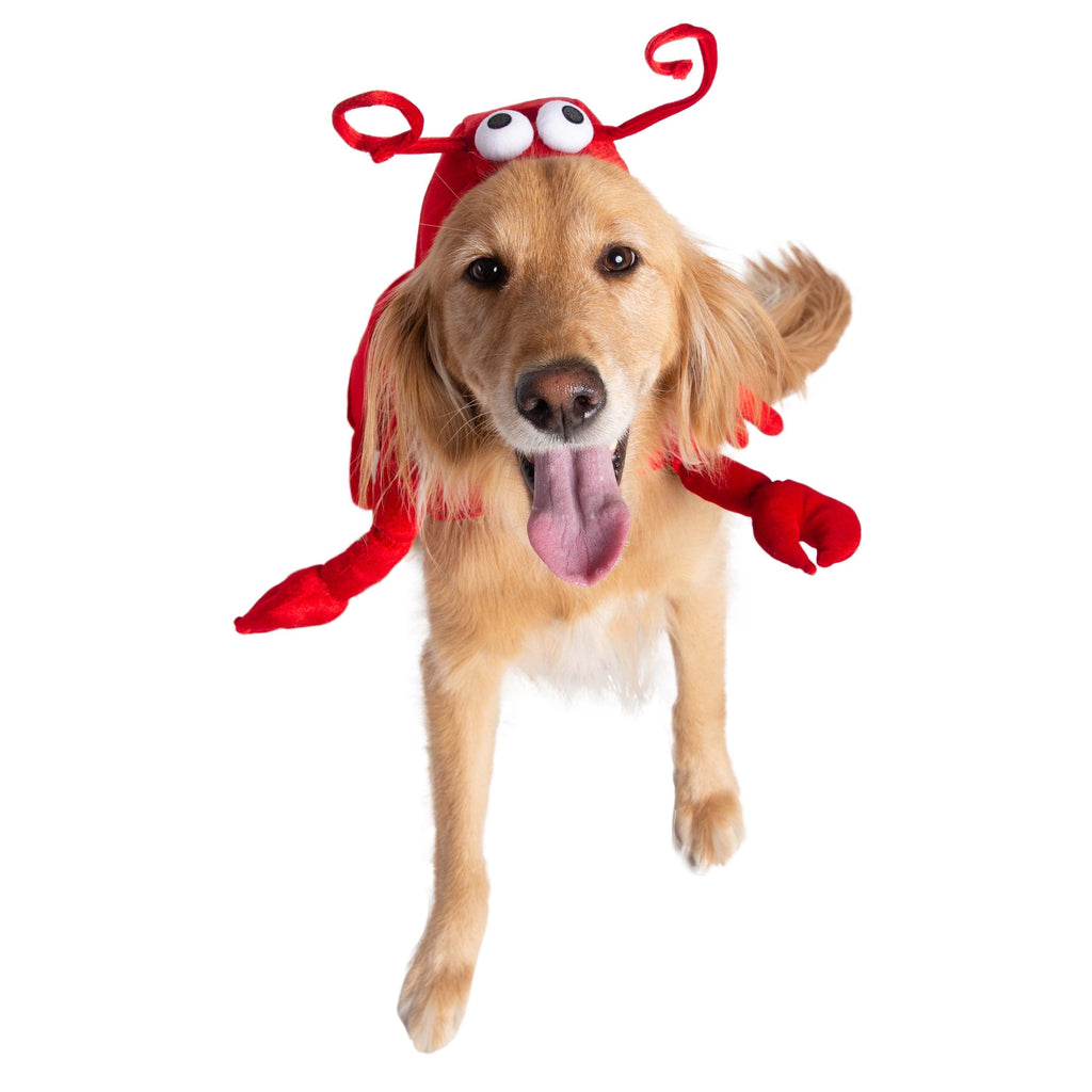 Lobster Dog Costume
