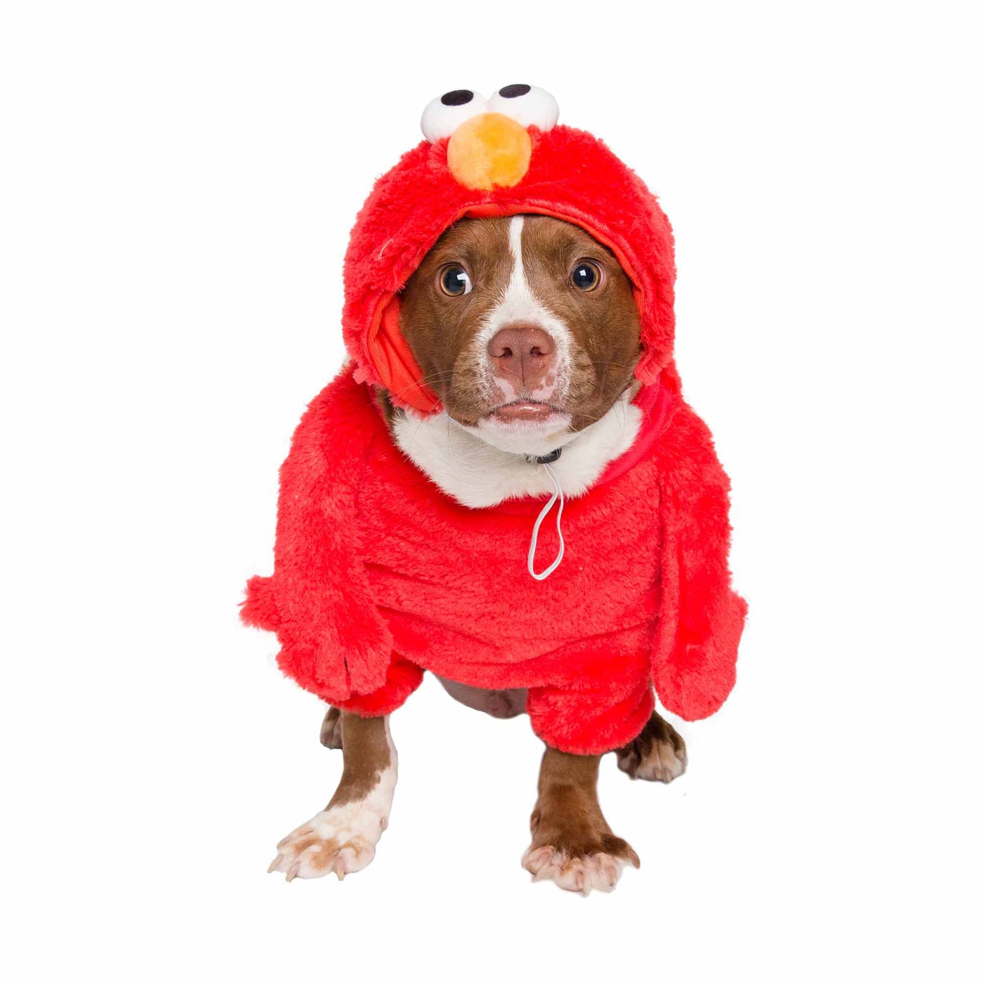 Product image from UPC 810005330442