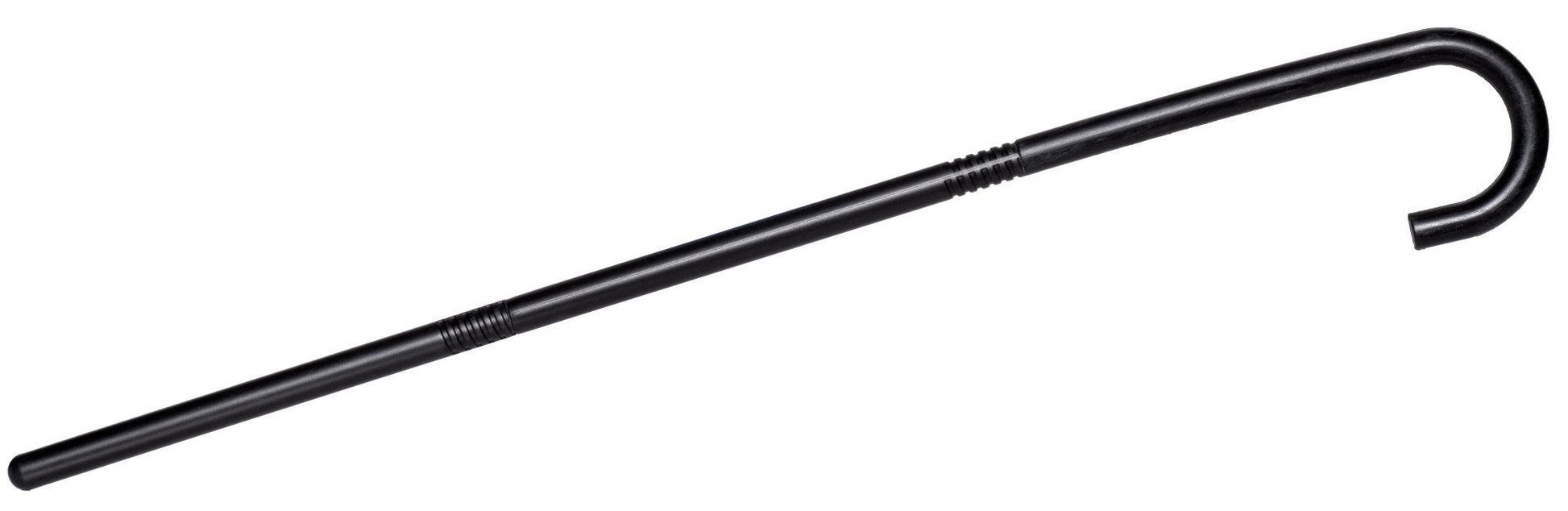 Collapsible Cane Accessory