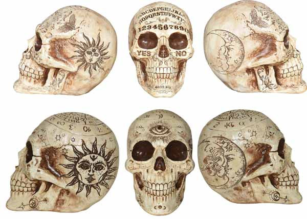 Fortune Telling Skull Decor
