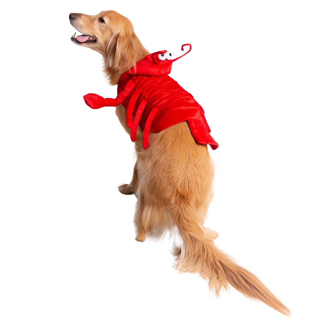 Lobster Dog Costume