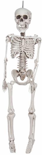 36-Inch Skeleton Decoration