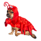 LOBSTER DOG COSTUME