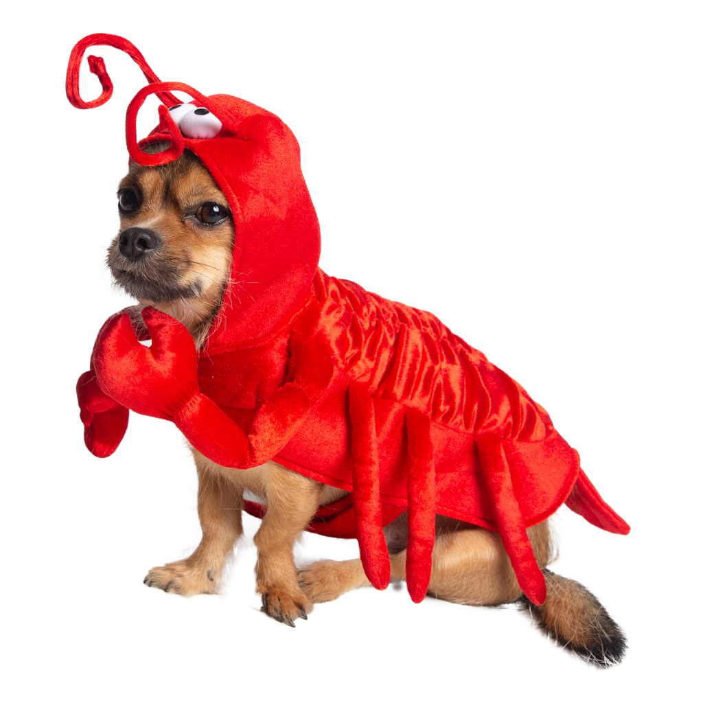 Lobster Dog Costume