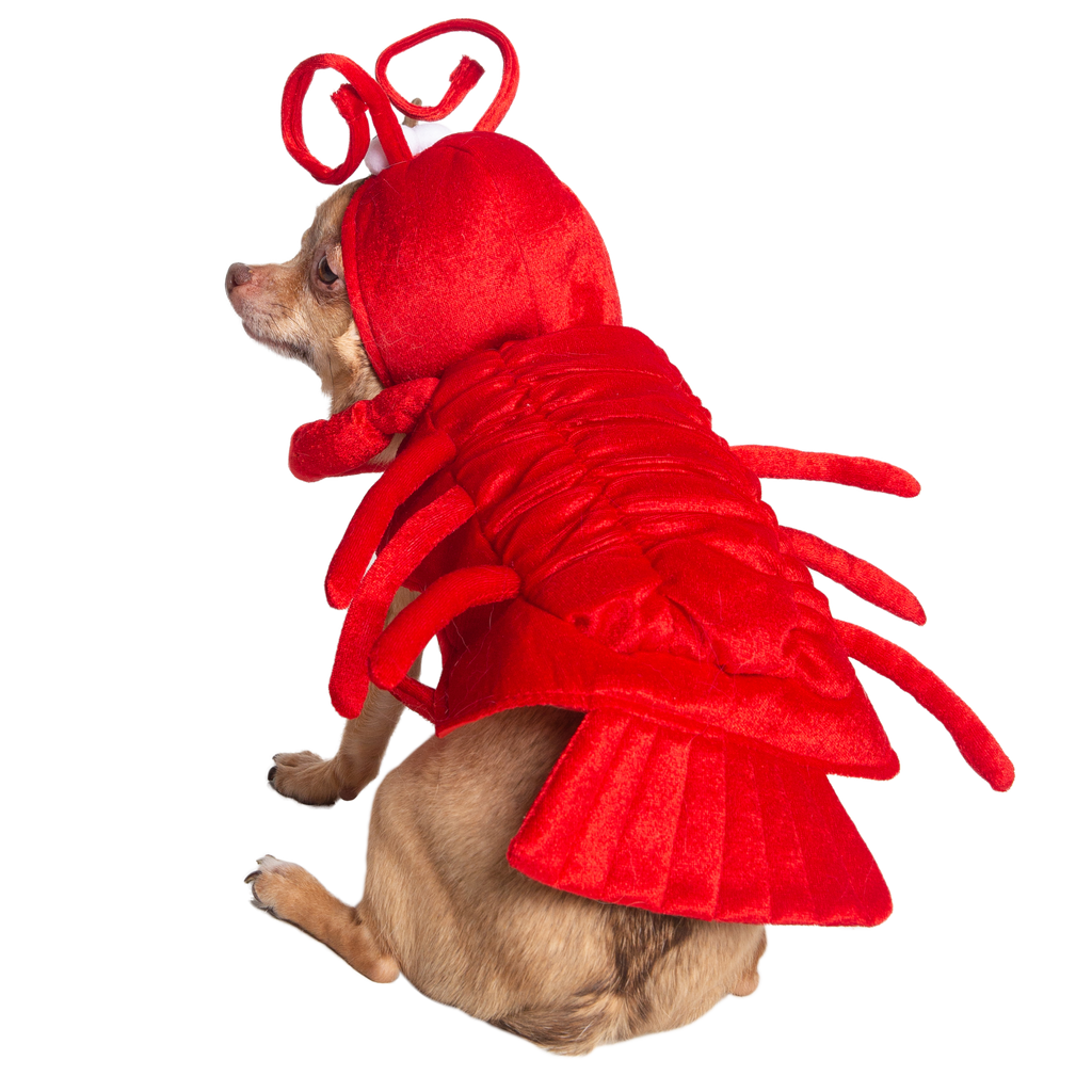 Lobster Dog Costume