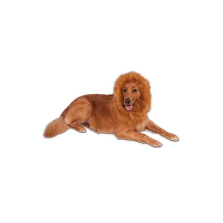 Product image from UPC 883028194209