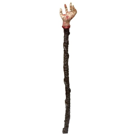 Product image from UPC 886390281140