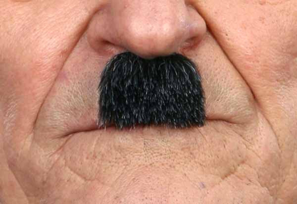 Grey Moustache Prop
